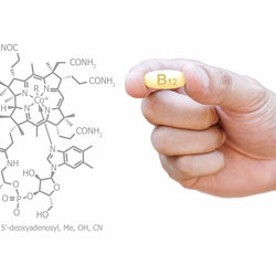 La Vitamina B12 Fatti E Questioni Irrisolte Fondazione