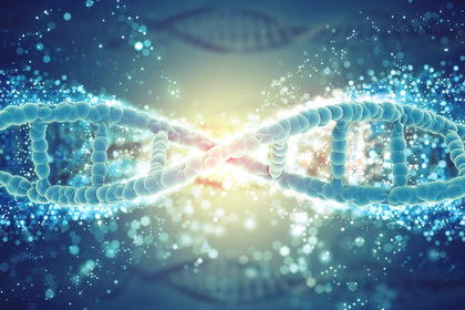 Cosa significa avere mutazioni nei geni Brca 1/2?