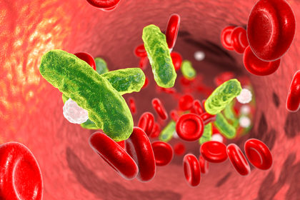 Helicobacter sintomi dieta