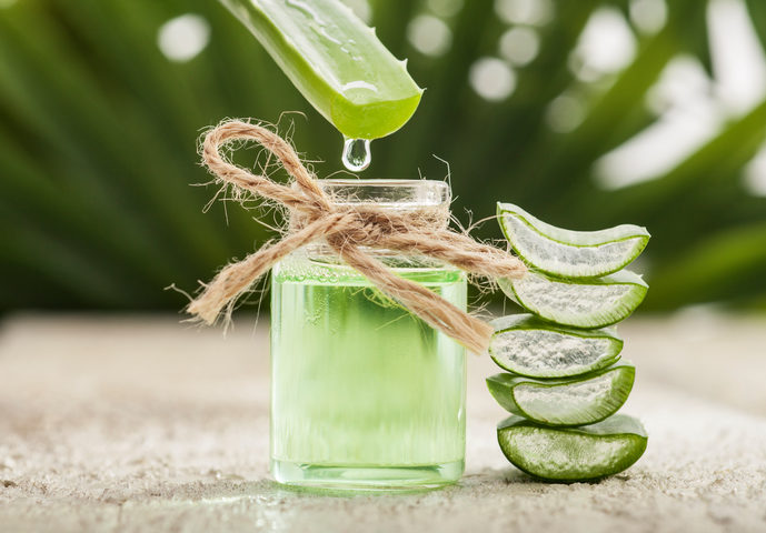 estratto di aloe vera fatto in casa