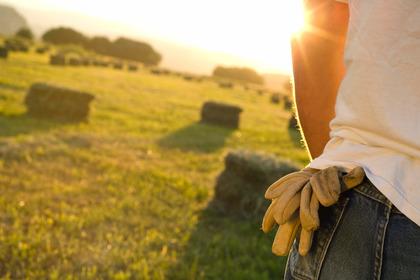 Tumori della pelle e radiazioni solari: i lavoratori all'aperto rischiano di più