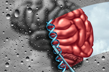 Scoperto il recettore che può far «scatenare» l’Alzheimer