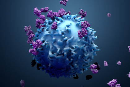 Anticorpi bispecifici: un'arma in più nell'immunoterapia contro il cancro