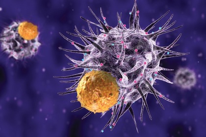 L'immunoterapia  la nuova strada per combattere il melanoma