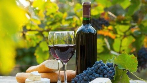 Svelata La Bufala Del Vino Rosso Che Fa Bene Fondazione