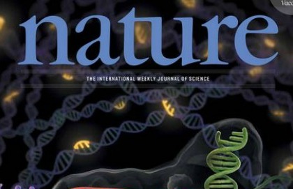 Frodi scientifiche: la rivista Nature corre ai ripari