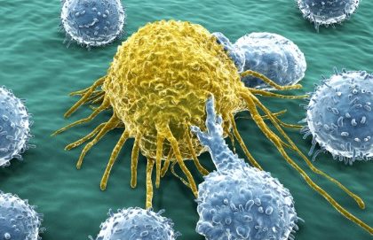 L’immunoterapia contro i tumori è la svolta dell’anno